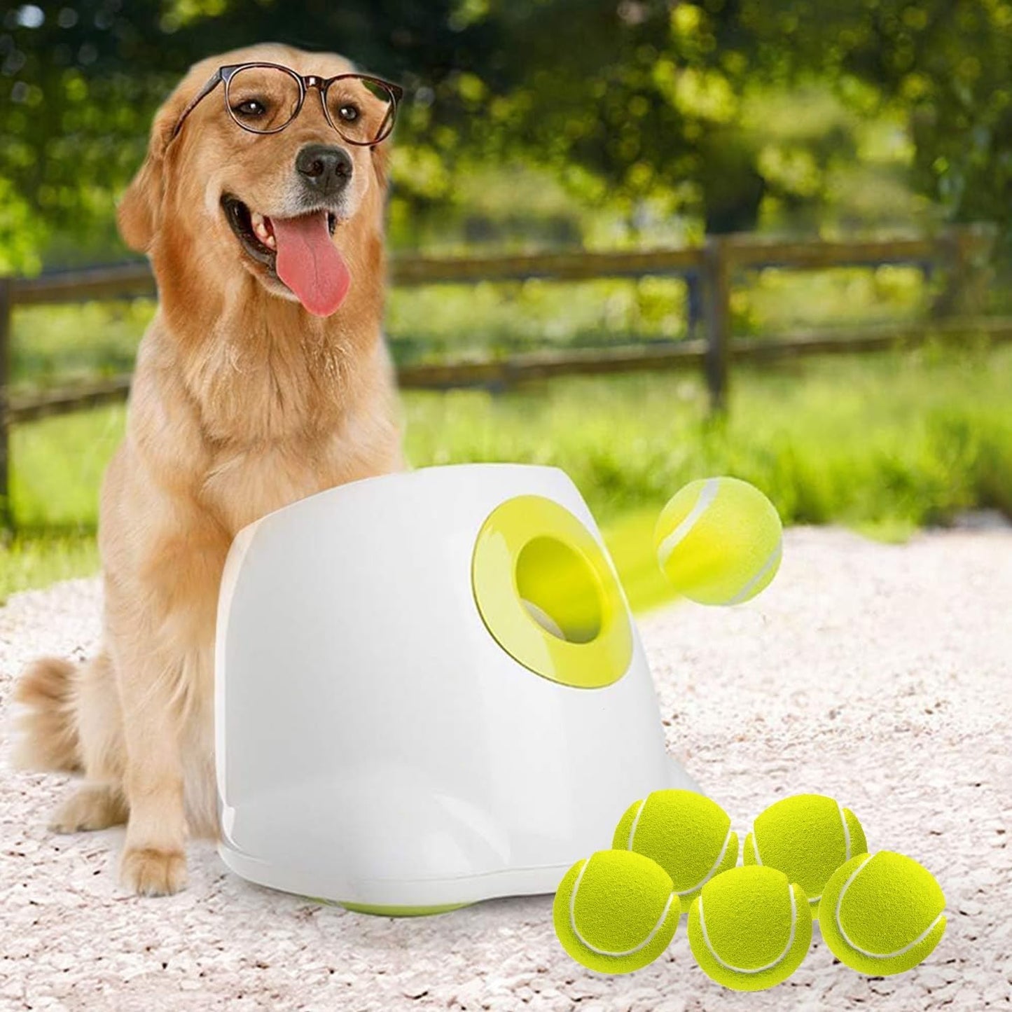 Petss & Paws Fetch Launcher™ Automatic Pet Tennis Ball Launcher