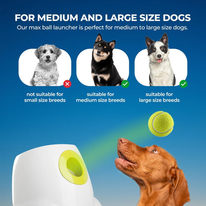 Petss & Paws Fetch Launcher™ Automatic Pet Tennis Ball Launcher