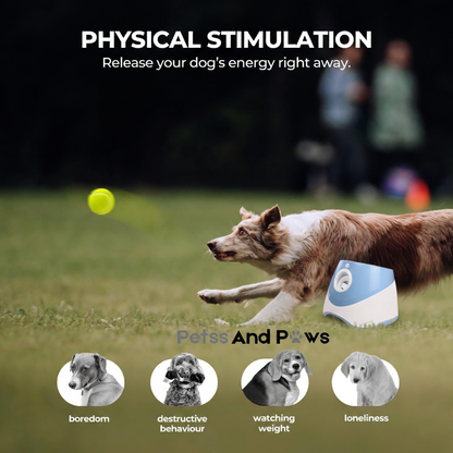 Petss & Paws Fetch Launcher™ Hands-Free Fetch for High-Energy Dogs